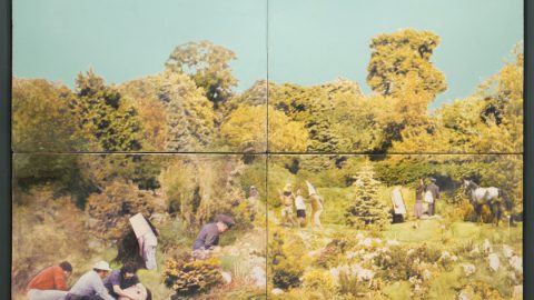 Image for: Una mostra che esplora il giardino come metafora creativa, a Palermo