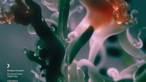Image for: Un viaggio tra scienza, arte e immaginazione:  “Une non-histoire des plantes”