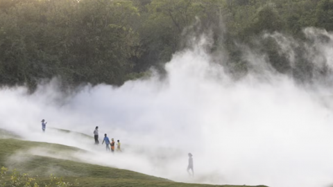 Image for: Silapaa: Art Forest e la nuova frontiera dell’arte nella natura