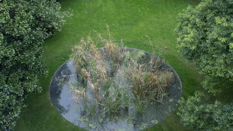 Image for: L’arte contemporanea di fronte alla crisi climatica, un dibattito al MIT