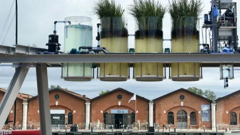 Image for: Canal Café: Venezia da bere, tra memoria e futuro