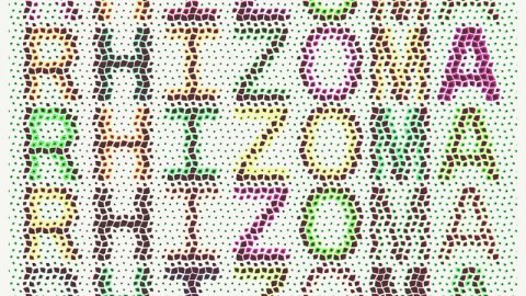 Image for: Vulnerabilità per abitare il presente, una Biennale diffusa in Belgio
