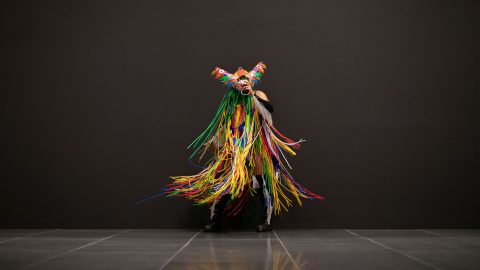 Image for: Bienal das Amazônias 2025: Verde-Distância e l’arte come sogno condiviso