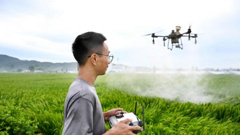 Image for: Droni agricoli, rituali del raccolto e realtà virtuale alla Fondazione Prada un’archeologia del futuro