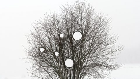 Image for: In Finlandia sette opere permanenti trasformano il cambiamento climatico in un paesaggio da attraversare