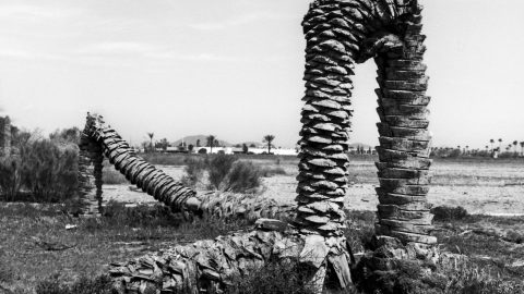 Image for: Una mostra per ripensare il paesaggio come esperienza, memoria e costruzione collettiva